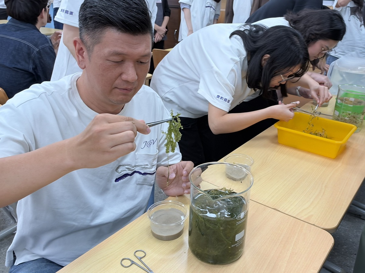 志工們透過海草瓶實作，將親手種植的海草帶回辦公室照顧，培育約一個月、待嫩芽長出後，再由專業團隊帶回澎湖海域回植